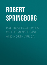 Political Economies of the Middle East and North Africa