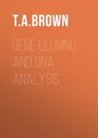 Gene Cloning and DNA Analysis