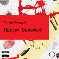 Проект «Ворожея»