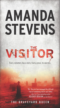 The Visitor