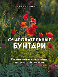 Очаровательные бунтари. Как создать сад с растениями, которые любят свободу