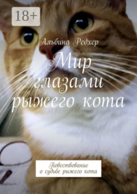 Мир глазами рыжего кота. Повествование о судьбе рыжего кота