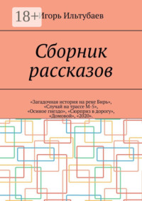 Сборник рассказов. «Загадочная история на реке Бирь», «Случай на трассе М-5», «Осиное гнездо», «Сюрприз в дорогу», «Домовой», «2020»