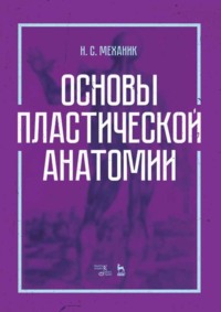 Основы пластической анатомии. Учебное пособие