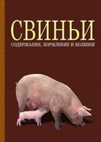 Свиньи: содержание, кормление и болезни