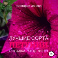 Петунии. Лучшие сорта