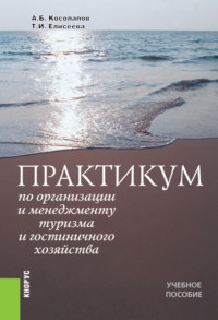 Практикум по организации и менеджменту туризма и гостиничного хозяйства. (Аспирантура, Бакалавриат). Учебное пособие.