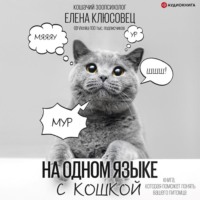 На одном языке с кошкой