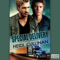 Special Delivery - Special Delivery, Book 1 (Unabridged)