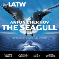 The Seagull