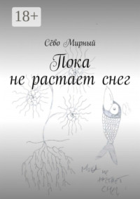 Пока не растает снег