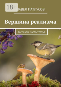 Вершина реализма. Рассказы. Часть третья