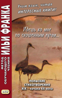 Идешь ко мне по скошенным лугам… Польские стихотворения XIX – начала XX века