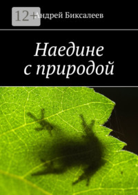 Наедине с природой