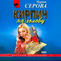 Кирпич на голову