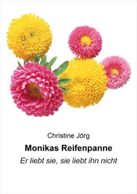 Monikas Reifenpanne