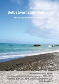 Für ein Leben unter den Flügeln der Seele - Die heillose Kultur - Band 1