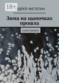 Зима на цыпочках прошла. Книга лирики