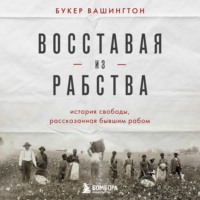 Восставая из рабства. История свободы, рассказанная бывшим рабом