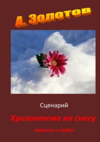 Сценарий «Хризантема на снегу». Новелла о любви