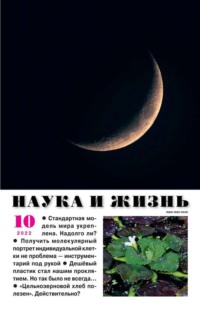 Наука и Жизнь 10-2022