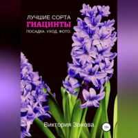 Гиацинты. Лучшие сорта