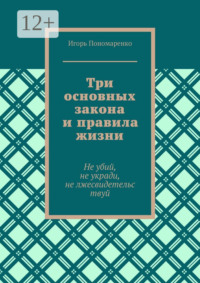 Три основных закона и правила жизни. Не убий, не укради, не лжесвидетельствуй