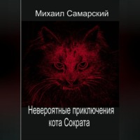 Невероятные приключения кота Сократа