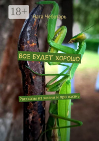 Все будет хорошо. Рассказы из жизни и про жизнь