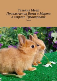 Приключения Бими и Марти в стране Трынтравия. Сказка