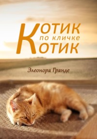 Котик по кличке Котик