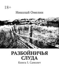 Разбойничья Слуда. Книга 5. Самолет