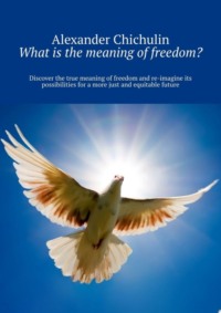 What is the meaning of freedom? Discover the true meaning of freedom and re-imagine its possibilities for a more just and equitable future