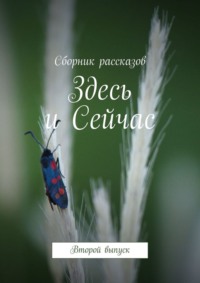Здесь и Сейчас. Второй выпуск