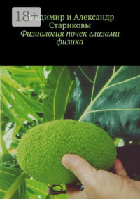 Физиология почек глазами физика