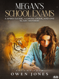 Megan&apos;s School Exams