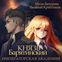 Князь Барятинский 2. Императорская Академия