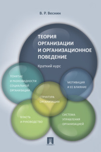 Теория организации и организационное поведение. Краткий курс