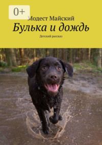 Булька и дождь. Детский рассказ