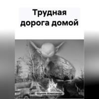 Трудная дорога домой