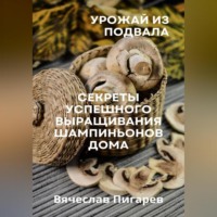 Урожай из подвала. Секреты успешного выращивания шампиньонов дома