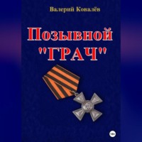 Позывной «Грач»