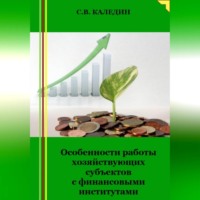 Особенности работы хозяйствующих субъектов с финансовыми институтами