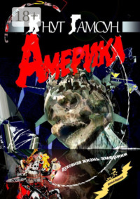 Америка. Духовная жизнь Америки