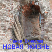 Новая жизнь