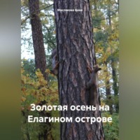 Золотая осень на Елагином острове