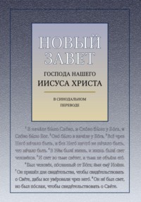Новый Завет Господа Нашего Иисуса Христа (с ударениями)