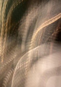 Духовная практика самодисциплины: «Путь совершенства»