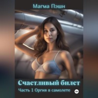 Счастливый билет. Часть 1. Оргия в самолёте