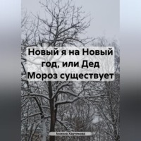 Новый я на Новый год, или Дед Мороз существует